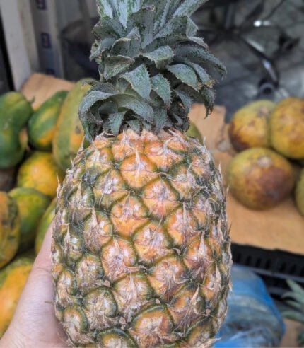 Anaros (Pineapple)