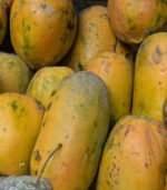 Pepe (Papaya) - Image 3