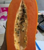 Pepe (Papaya) - Image 2