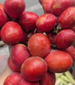 Rokto Fol (Tamarillo) - Image 3