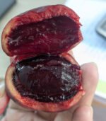 Rokto Fol (Tamarillo) - Image 2