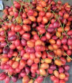 Rokto Fol (Tamarillo)