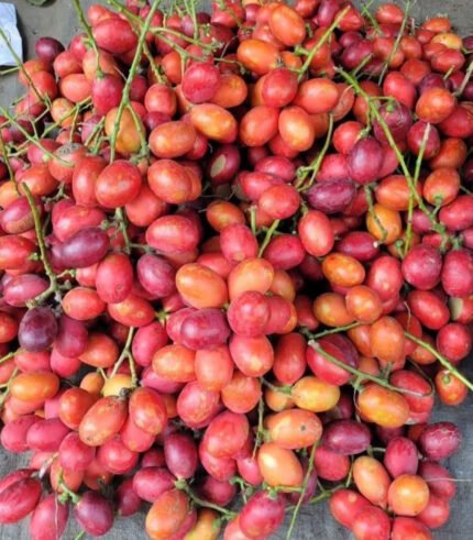 Rokto Fol (Tamarillo)