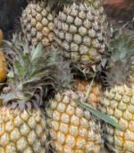 Anaros (Pineapple) - Image 2