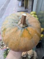 Pahari Misti Kumra (Pumpkin) - Image 2