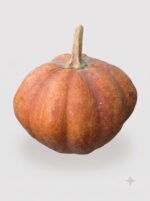 Pahari Misti Kumra (Pumpkin)